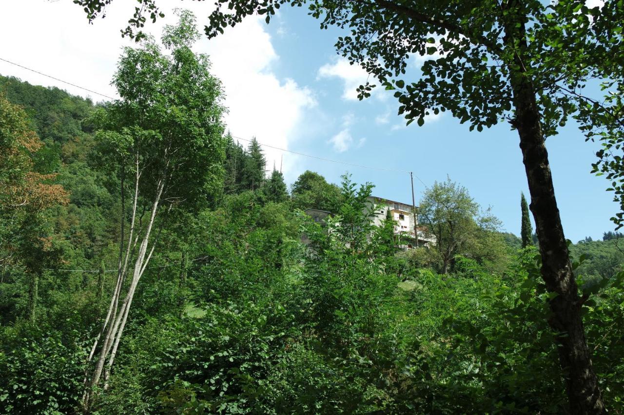 B&B Donnini Firenzuola Exteriör bild