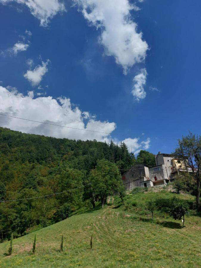B&B Donnini Firenzuola Exteriör bild